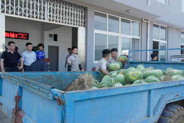 宣城政府送清凉正在搬运西瓜